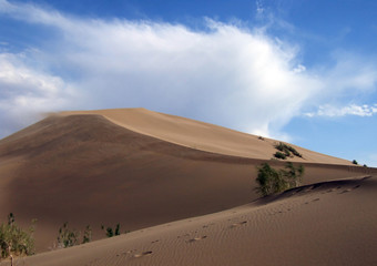 Fototapeta na wymiar Singing dune