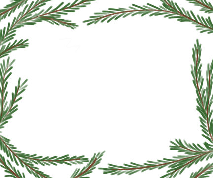 Realistic Hand Drawn Pine Boughs Frame