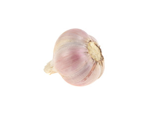 garlic isolated on white background