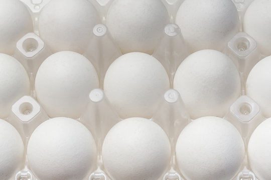 white chicken eggs closeup