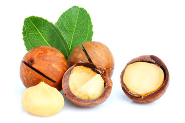 Macadamia nuts with leaf isolated.