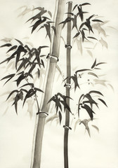 bamboos in the fog