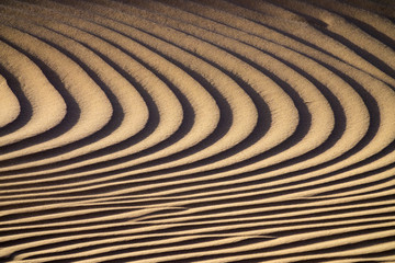 Fototapeta na wymiar Background texture of sand dunes