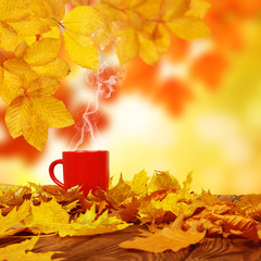 Autumn leaves and red cup of coffee .