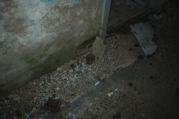 Obraz premium Dramatic view of abandoned building