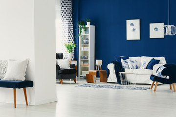 Classy living room with dark blue wall, comfortable armchairs and white sofa with pillows, real...