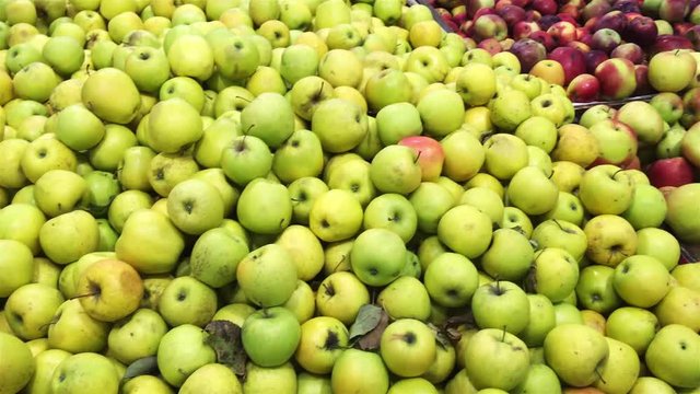  lots of green and red apples in stock.