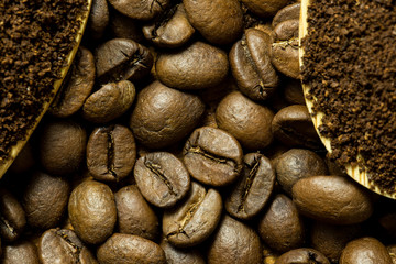 Coffe beans and coffee powder