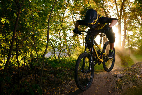 Professional Cyclist Riding the Mountain Bike on the Autumn Forest Trail. Extreme Sport and Enduro Cycling Concept.