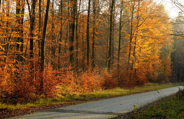 alte Panzerstrasse zwischen Böblingen und Stuttgart Vaihingen