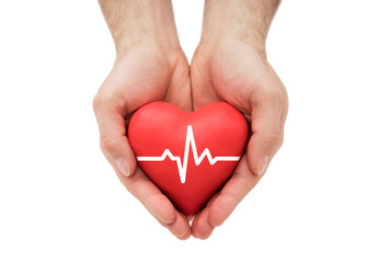 Red heart with pulse in man's hands.