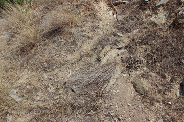 Eroded cliff with rocks, dirt and dry vegetation landslide detail 