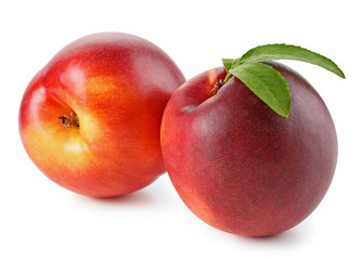 Peaches or nectarines with leaf on white background