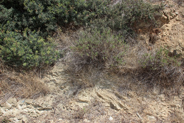 Eroded cliff with rocks, dirt and dry vegetation landslide detail 