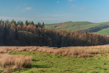 Shutlingsloe Hill in the Peak District National Park.
