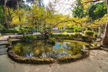 A small pond in Rodini park in city of Rhodes (Rhodes, Greece)