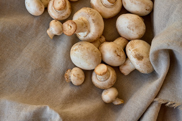 Champignon mushrooms on a gray cloth