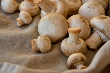 Champignon mushrooms on a gray cloth