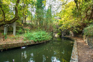 Fototapete bei efototapeten.de bestellen   