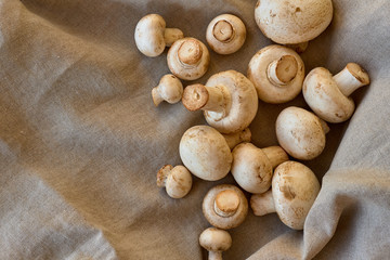 Champignon mushrooms on a gray cloth