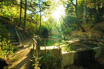 Fototapete bei efototapeten.de bestellen   