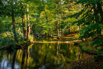 Idyllische Herbstlandschaft: Der Fluss "Schwärze" im Forstbotanischen Garten Eberswalde