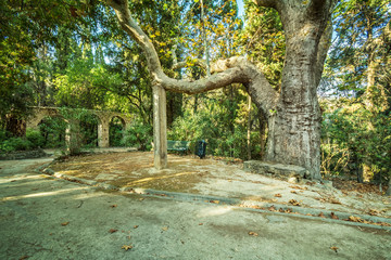 Fototapete bei efototapeten.de bestellen   