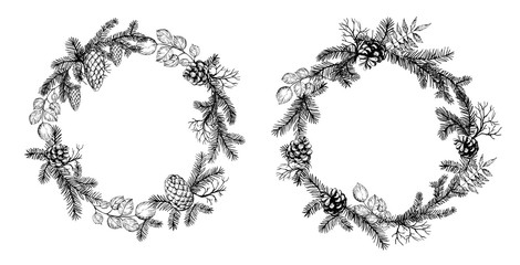 Pine wreath with cone and fir brunches. Vector illustration.
