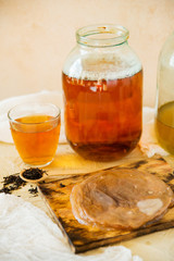 Tea mushroom, Kombucha close-up, macro.