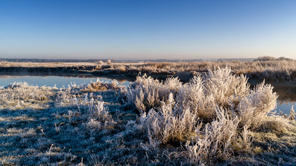 Słoneczny i mroźny poranek nad Narwią, Polska,Podlasie © podlaski49