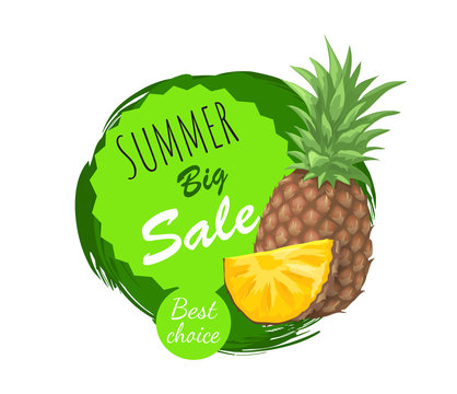 Summer Big Sale Summertime Vector Illustration