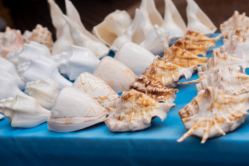 Stalls and makeshift shops selling Indian artifacts and handmade articles to tourists at Vagator Beach Goa