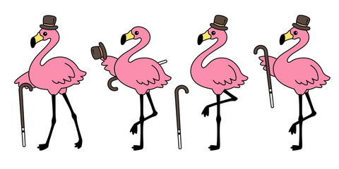 flamingo vector flamingos hat icon logo cartoon character collection illustration Cute animal exotic fauna nature wild © CNuisin