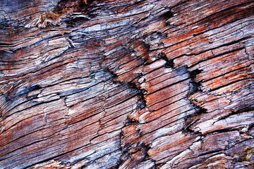 Abstract color on old weathered wood