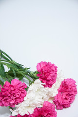 Romantic vertical floral banner. White beautiful chrysanthemums and pink carnation