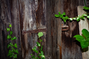 Detail alte T&uuml;re aus Holz, mit Eisenriegel verschlossen, Nostalgie