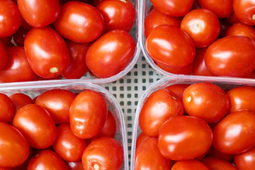 Red tomatoes in plastic box