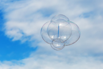 soap bubble flying in the air