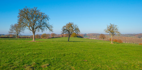 Rural hilly landscape in fall colors in sunlight in autumn