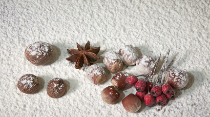 Fototapeta na wymiar Nutmeg, hazelnuts, star anise, red rowan berries in the snow. Winter cooking composition of spices and nuts.