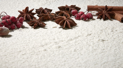 Cinnamon sticks, hazelnuts, star anise stars, red rowan berries on the snow. Winter cooking composition of spices and nuts.