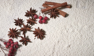 Cinnamon sticks, hazelnuts, star anise stars, red rowan berries on the snow. Winter cooking composition of spices and nuts.