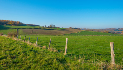 Rural hilly landscape in fall colors in sunlight in autumn