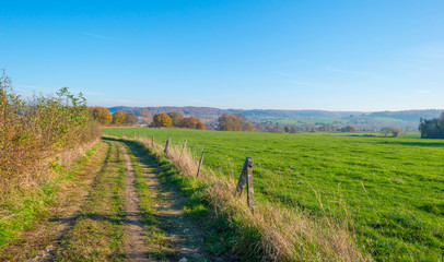 Rural hilly landscape in fall colors in sunlight in autumn