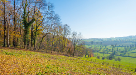 Naklejka premium Rural hilly landscape in fall colors in sunlight in autumn