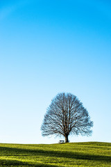 Obraz premium old bench