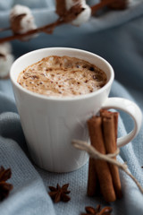 Christmas drink with spices
