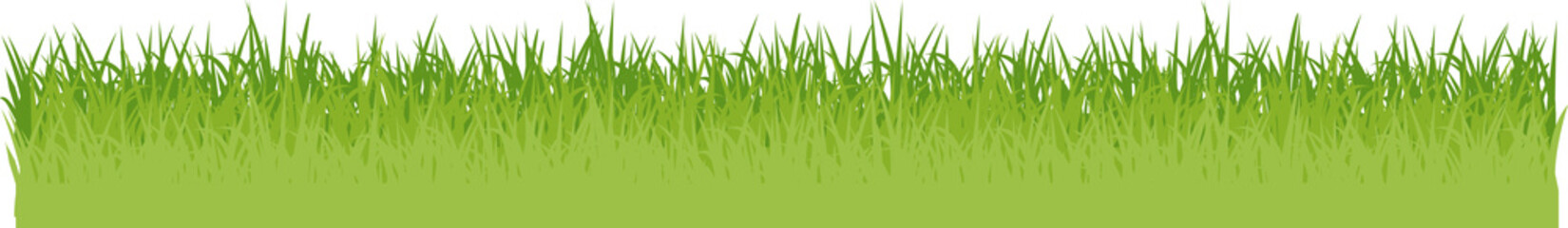 grüne Wiese mit Blumen Gras Flat Design isoliert auf weißem Hintergrund
