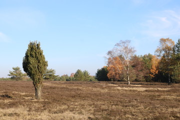 Idyllische Naturlandschaft in der L&uuml;neburger Heide im Herbst