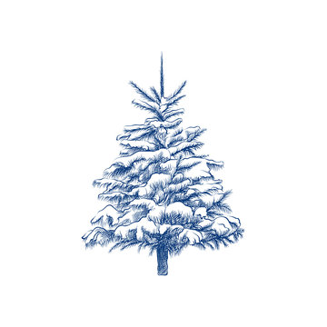 Hand Drawn Christmas tree under the snow Sketch Symbol isolated on white background. Vector of winter elements In Trendy Style